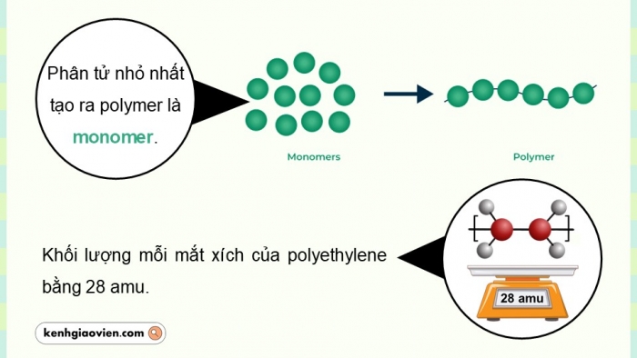 Giáo án điện tử KHTN 9 chân trời - Phân môn Hoá học Bài 30: Polymer