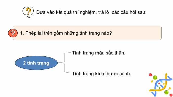 Giáo án điện tử KHTN 9 kết nối - Phân môn Sinh học Bài 45: Di truyền liên kết