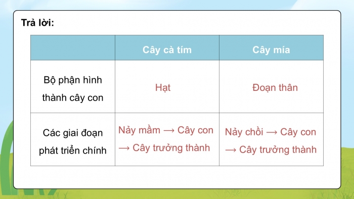 Giáo án điện tử Khoa học 5 kết nối Bài 17: Ôn tập chủ đề Thực vật và động vật