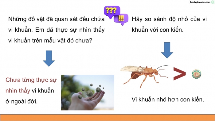 Giáo án điện tử Khoa học 5 kết nối Bài 18: Vi khuẩn xung quanh chúng ta