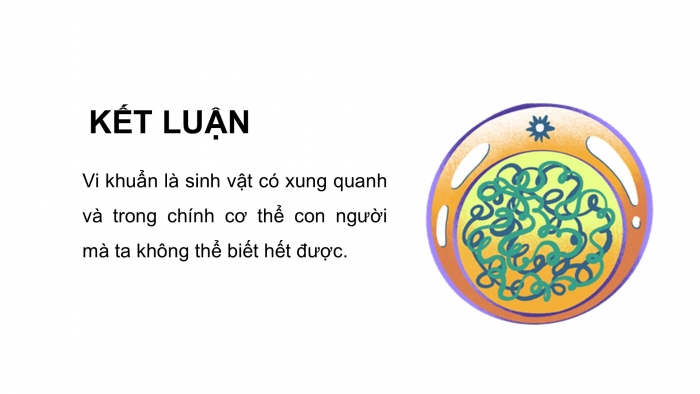 Giáo án điện tử Khoa học 5 kết nối Bài 21: Ôn tập chủ đề Vi khuẩn