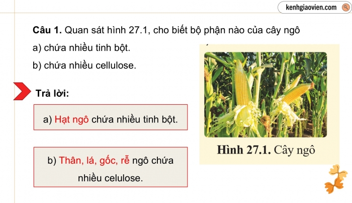 Giáo án điện tử KHTN 9 cánh diều - Phân môn Hoá học Bài 27: Tinh bột và cellulose