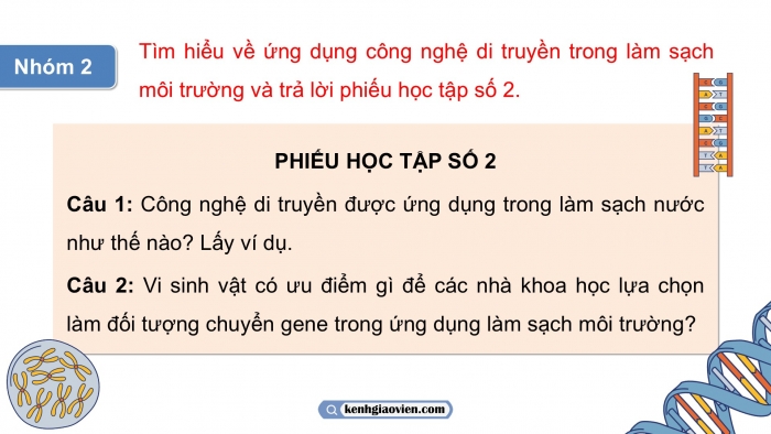 Giáo án điện tử KHTN 9 cánh diều - Phân môn Sinh học Bài 41: Ứng dụng công nghệ di truyền vào đời sống