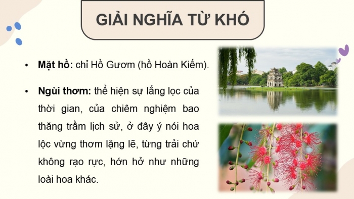 Giáo án điện tử Tiếng Việt 5 chân trời Bài 7: Lộc vừng mùa xuân