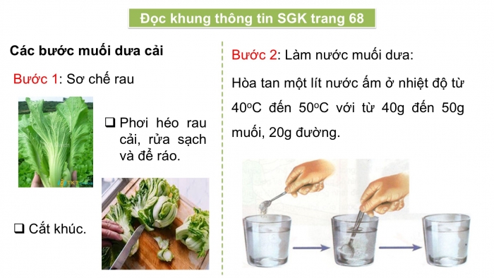 Giáo án điện tử Khoa học 5 chân trời Bài 19: Vi khuẩn có ích trong chế biến thực phẩm