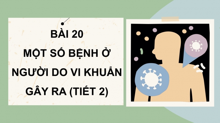 Giáo án điện tử Khoa học 5 chân trời Bài 20: Một số bệnh ở người do vi khuẩn gây ra