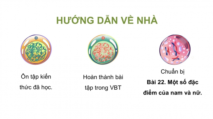 Giáo án điện tử Khoa học 5 chân trời Bài 21: Ôn tập chủ đề Vi khuẩn