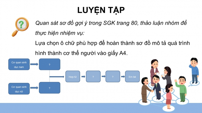 Giáo án điện tử Khoa học 5 chân trời Bài 23: Sự sinh sản ở người