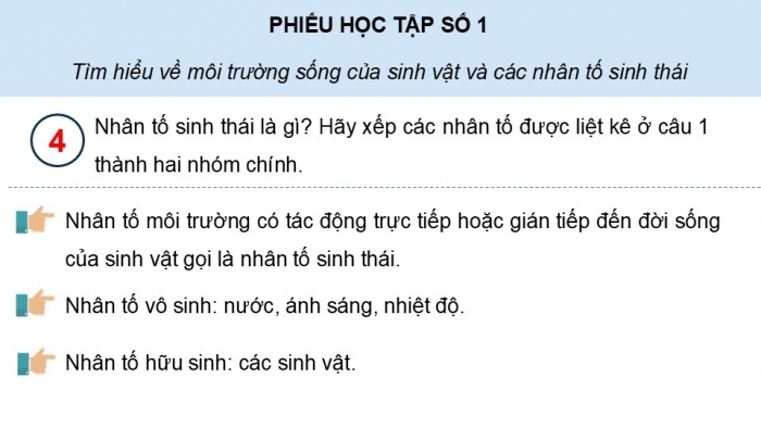 Giáo án điện tử Sinh học 12 kết nối Bài 23: Môi trường và các nhân tố sinh thái