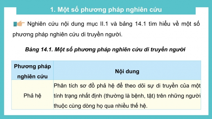 Giáo án điện tử Sinh học 12 chân trời Bài 14: Di truyền học người