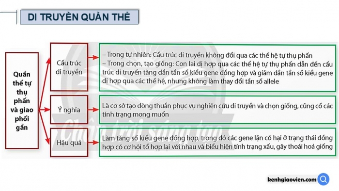 Giáo án điện tử Sinh học 12 chân trời Bài Ôn tập Chương 3