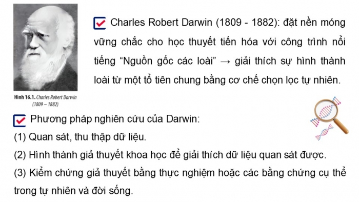 Giáo án điện tử Sinh học 12 chân trời Bài 16: Quan niệm của Darwin về chọn lọc tự nhiên và hình thành loài