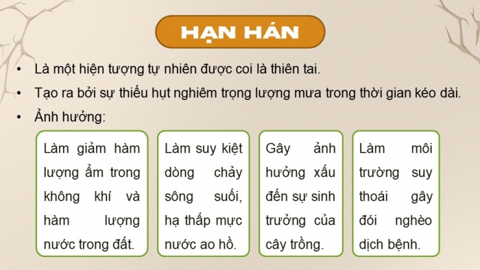 Giáo án điện tử Địa lí 9 cánh diều Bài 14: Thực hành Phân tích ảnh hưởng của nạn hạn hán và sa mạc hóa ở vùng khô hạn Ninh Thuận - Bình Thuận