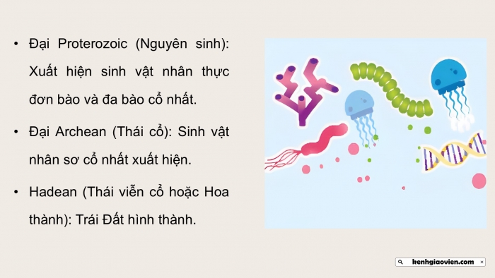 Giáo án điện tử Sinh học 12 chân trời Bài 19: Sự phát triển sự sống