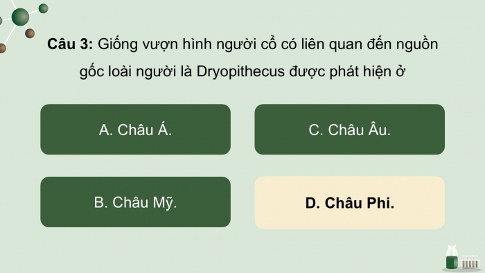 Giáo án điện tử Sinh học 12 chân trời Bài Ôn tập Chương 5