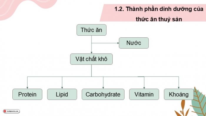 Giáo án điện tử Công nghệ 12 Lâm nghiệp Thủy sản Cánh diều Bài 16: Thành phần dinh dưỡng của thức ăn thủy sản