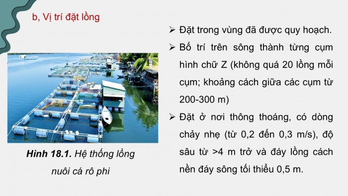 Giáo án điện tử Công nghệ 12 Lâm nghiệp Thủy sản Cánh diều Bài 18: Kĩ thuật nuôi một số loài thủy sản phổ biến