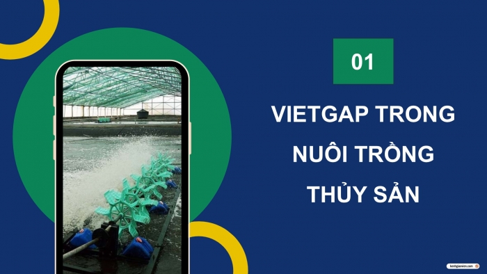 Giáo án điện tử Công nghệ 12 Lâm nghiệp Thủy sản Cánh diều Bài 19: Quy trình nuôi thủy sản theo tiêu chuẩn VietGAP