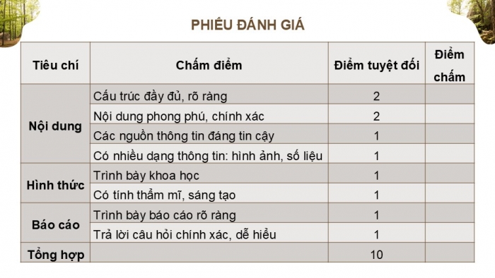 Giáo án điện tử Địa lí 9 chân trời Bài 18: Thực hành Vấn đề môi trường trong phát triển kinh tế - xã hội ở Tây Nguyên