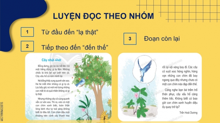 Giáo án điện tử Tiếng Việt 2 chân trời Bài 1: Đọc Cây nhút nhát