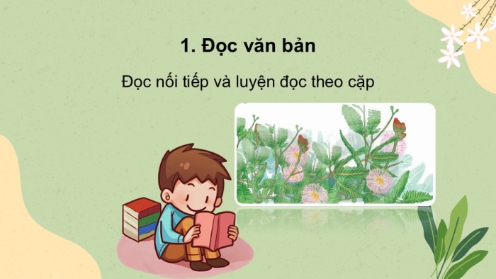 Giáo án điện tử tiếng Việt 2 kết nối Bài 7: Cây xấu hổ