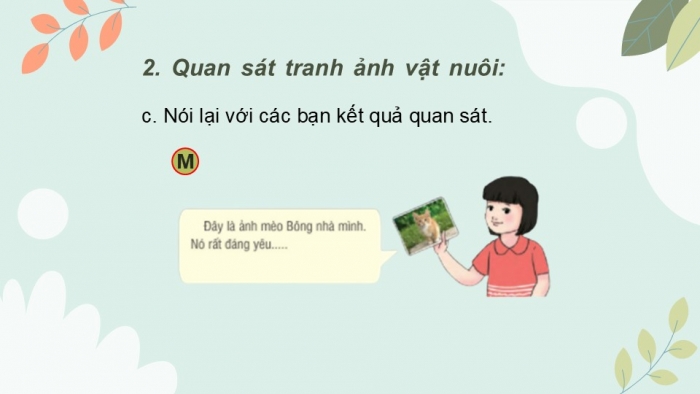 Giáo án điện tử Tiếng Việt 2 cánh diều Bài 19: Quan sát tranh ảnh vật nuôi