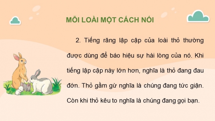 Giáo án điện tử Tiếng Việt 2 cánh diều Bài 19: Đọc sách báo viết về vật nuôi