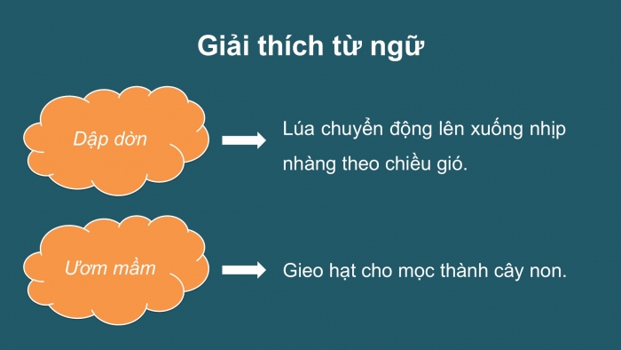 Giáo án điện tử Tiếng Việt 2 kết nối Bài 6: Mùa vàng