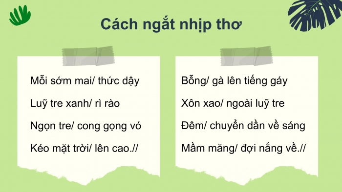 Giáo án điện tử Tiếng Việt 2 kết nối Bài 8: Luỹ tre