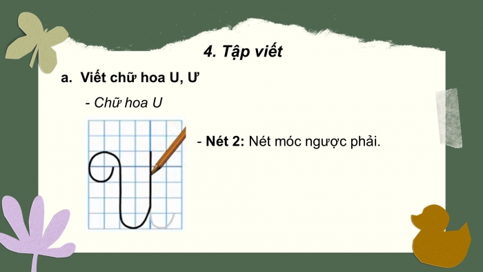 Giáo án điện tử Tiếng Việt 2 cánh diều Bài 24: Nghe – viết Chim rừng Tây Nguyên, Chữ hoa U Ư