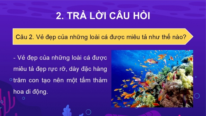 Giáo án điện tử Tiếng Việt 2 kết nối Bài 28: Khám phá đáy biển ở Trường Sa