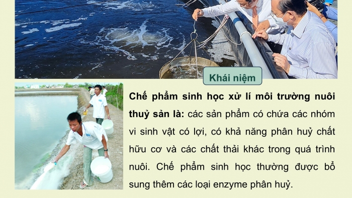 Giáo án điện tử chuyên đề Công nghệ 12 Lâm nghiệp Thuỷ sản Cánh diều Bài 7: Ứng dụng công nghệ sinh học xử lí môi trường nuôi thuỷ sản