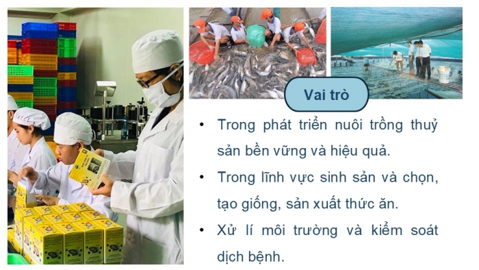 Giáo án điện tử chuyên đề Công nghệ 12 Lâm nghiệp Thuỷ sản Cánh diều Bài 4: Vai trò, thành tựu và triển vọng của công nghệ sinh học trong thuỷ sản