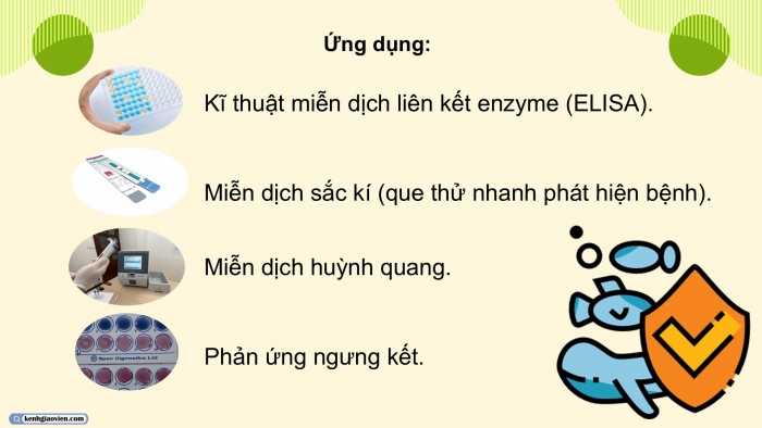 Giáo án điện tử chuyên đề Công nghệ 12 Lâm nghiệp Thuỷ sản Cánh diều Bài 8: Ứng dụng công nghệ sinh học trong chẩn đoán bệnh và sản xuất vaccine phòng bệnh thuỷ sản