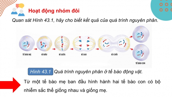 Giáo án điện tử KHTN 9 chân trời - Phân môn Sinh học Bài 43: Di truyền nhiễm sắc thể