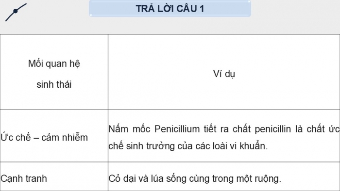 Giáo án điện tử chuyên đề Sinh học 12 chân trời Bài 6: Cơ sở khoa học và các biện pháp kiểm soát sinh học