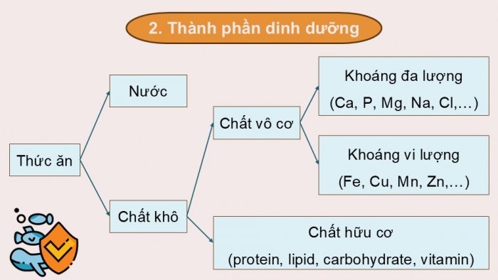 Giáo án điện tử Công nghệ 12 Lâm nghiệp - Thủy sản Kết nối Bài 16: Thức ăn thủy sản