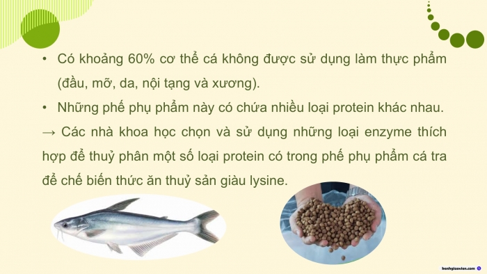 Giáo án điện tử Công nghệ 12 Lâm nghiệp - Thủy sản Kết nối Bài 18: Ứng dụng công nghệ sinh học trong bảo quản, chế biến thức ăn thủy sản