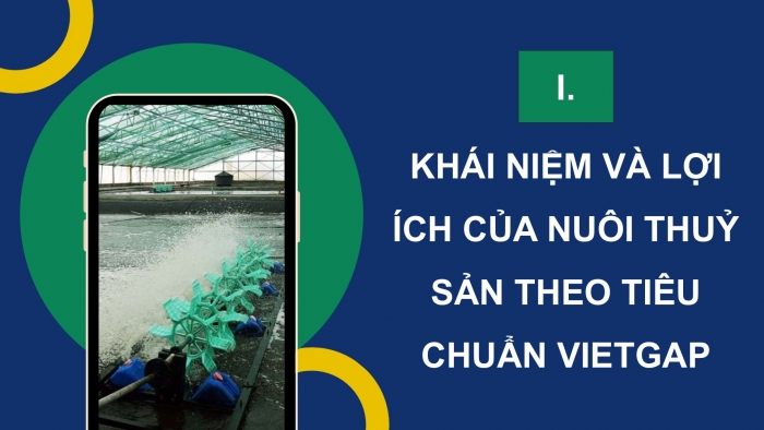 Giáo án điện tử Công nghệ 12 Lâm nghiệp - Thủy sản Kết nối Bài 20: Nuôi thủy sản theo tiêu chuẩn VietGAP