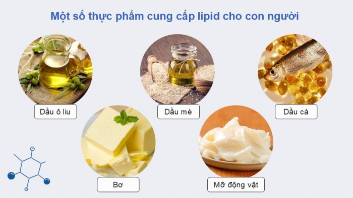 Giáo án điện tử KHTN 9 chân trời - Phân môn Hoá học Bài 26: Lipid và chất béo