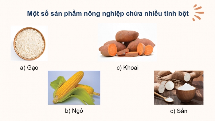 Giáo án điện tử KHTN 9 chân trời - Phân môn Hoá học Bài 28: Tinh bột và cellulose