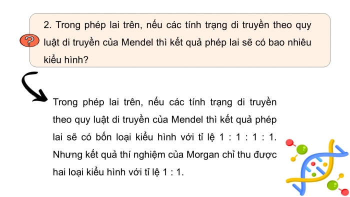 Giáo án điện tử KHTN 9 kết nối - Phân môn Sinh học Bài 45: Di truyền liên kết