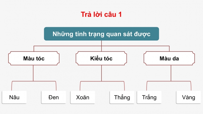 Giáo án điện tử KHTN 9 kết nối - Phân môn Sinh học Bài 47: Di truyền học với con người