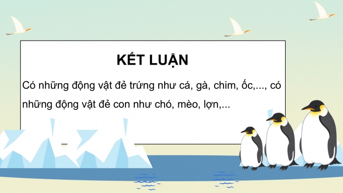 Giáo án điện tử Khoa học 5 kết nối Bài 15: Sinh sản của động vật