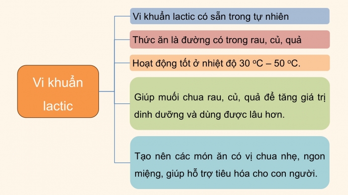 Giáo án điện tử Khoa học 5 kết nối Bài 19: Vi khuẩn có ích trong chế biến thực phẩm