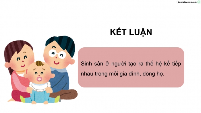 Giáo án điện tử Khoa học 5 kết nối Bài 22: Sự hình thành cơ thể người