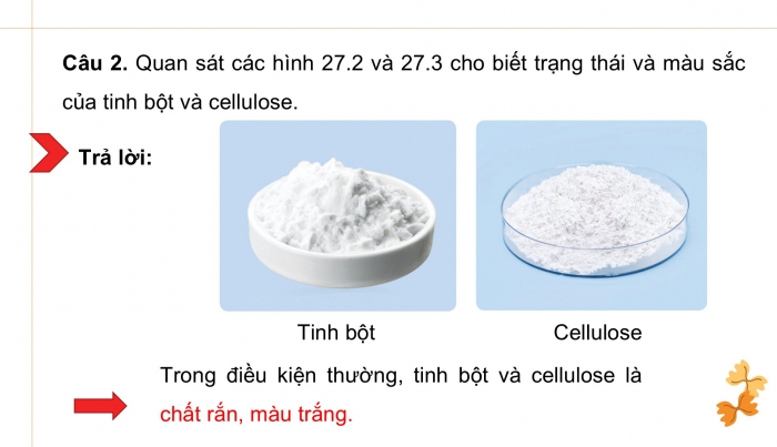 Giáo án điện tử KHTN 9 cánh diều - Phân môn Hoá học Bài 27: Tinh bột và cellulose