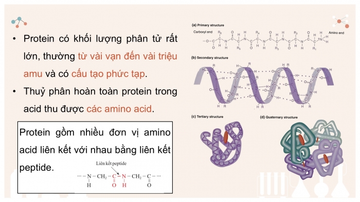 Giáo án điện tử KHTN 9 cánh diều - Phân môn Hoá học Bài 28: Protein