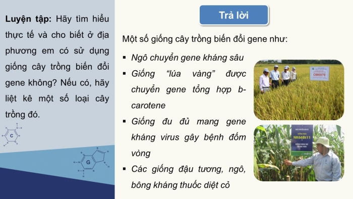 Giáo án điện tử KHTN 9 chân trời - Phân môn Sinh học Bài 45: Ứng dụng công nghệ di truyền vào đời sống