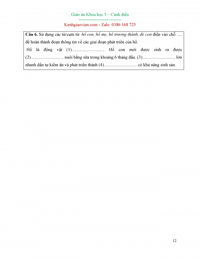 Giáo án và PPT Khoa học 5 cánh diều bài 11: Vòng đời của động vật đẻ trứng và động vật đẻ con